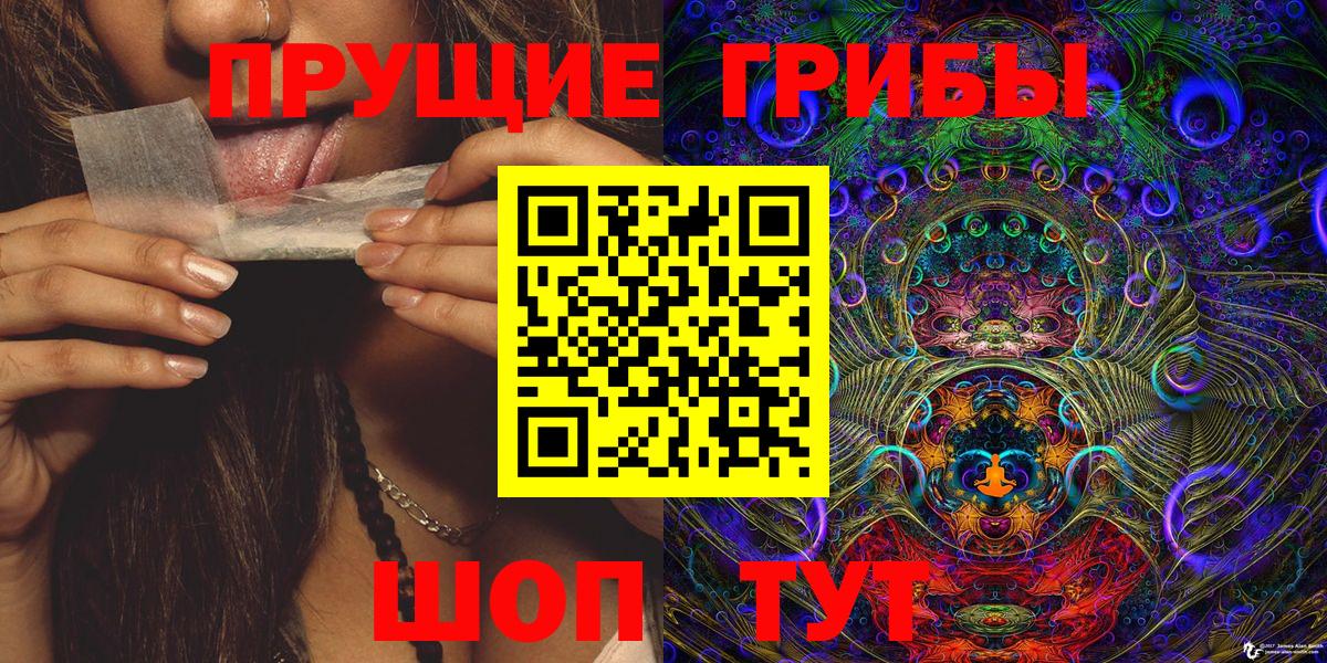 Печора  Галлюциногенные грибы Psilocybine cubensis  Вход с VPN 