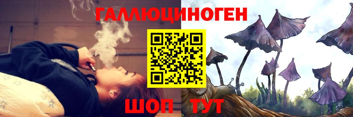 Псилоцибиновые грибы MAGIC MUSHROOMS Печора